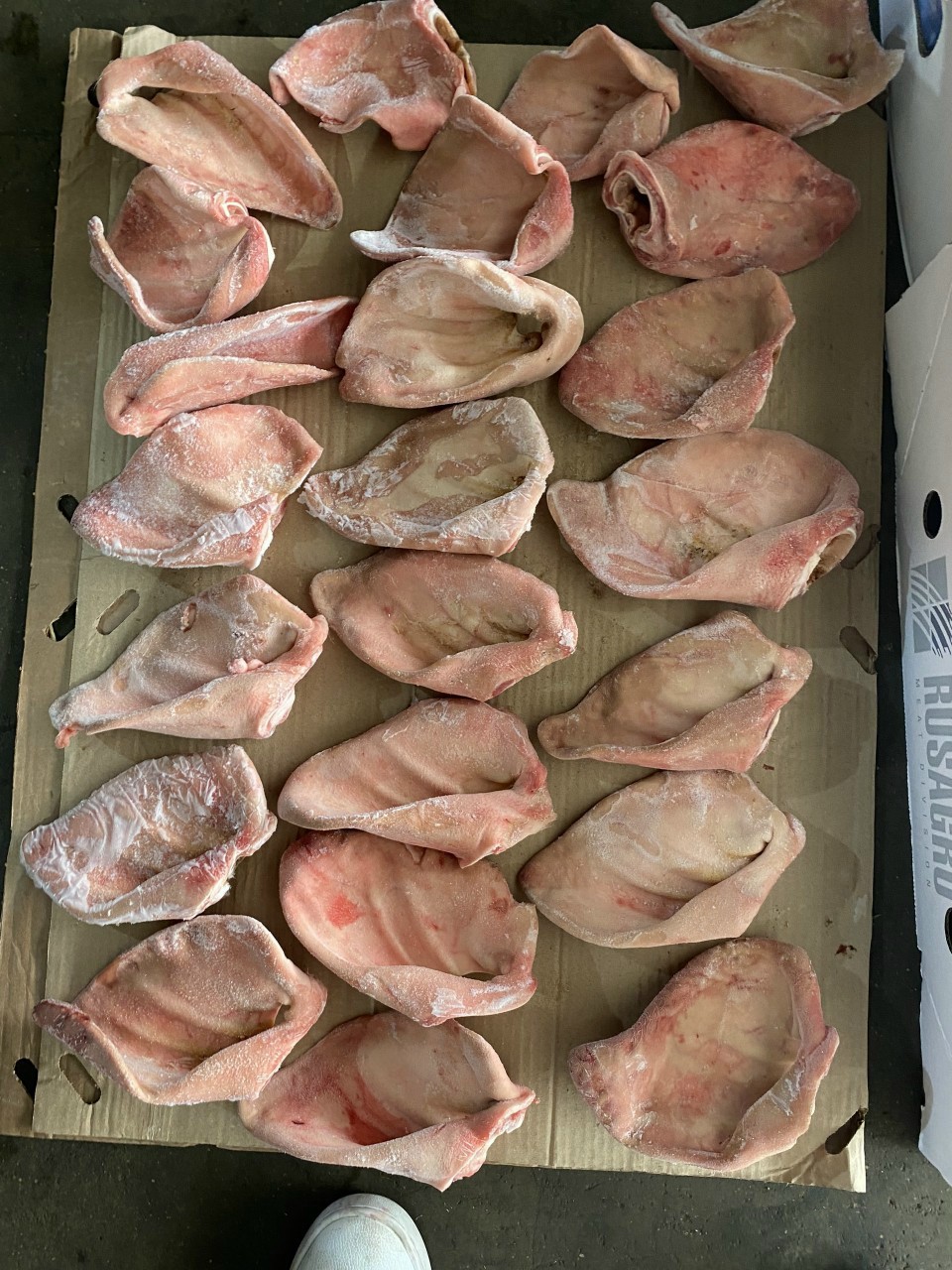 Cách làm sạch tai lợn đông lạnh nhập khẩu trước khi nấu